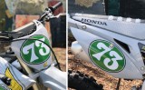 ELSINORE OVAL BACKGROUNDS