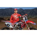 TEAM HONDA