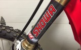 CARBON FORK LEG DECALS