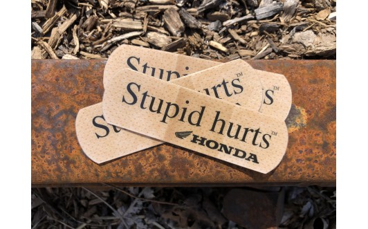 Honda STUPID HURTS Pack
